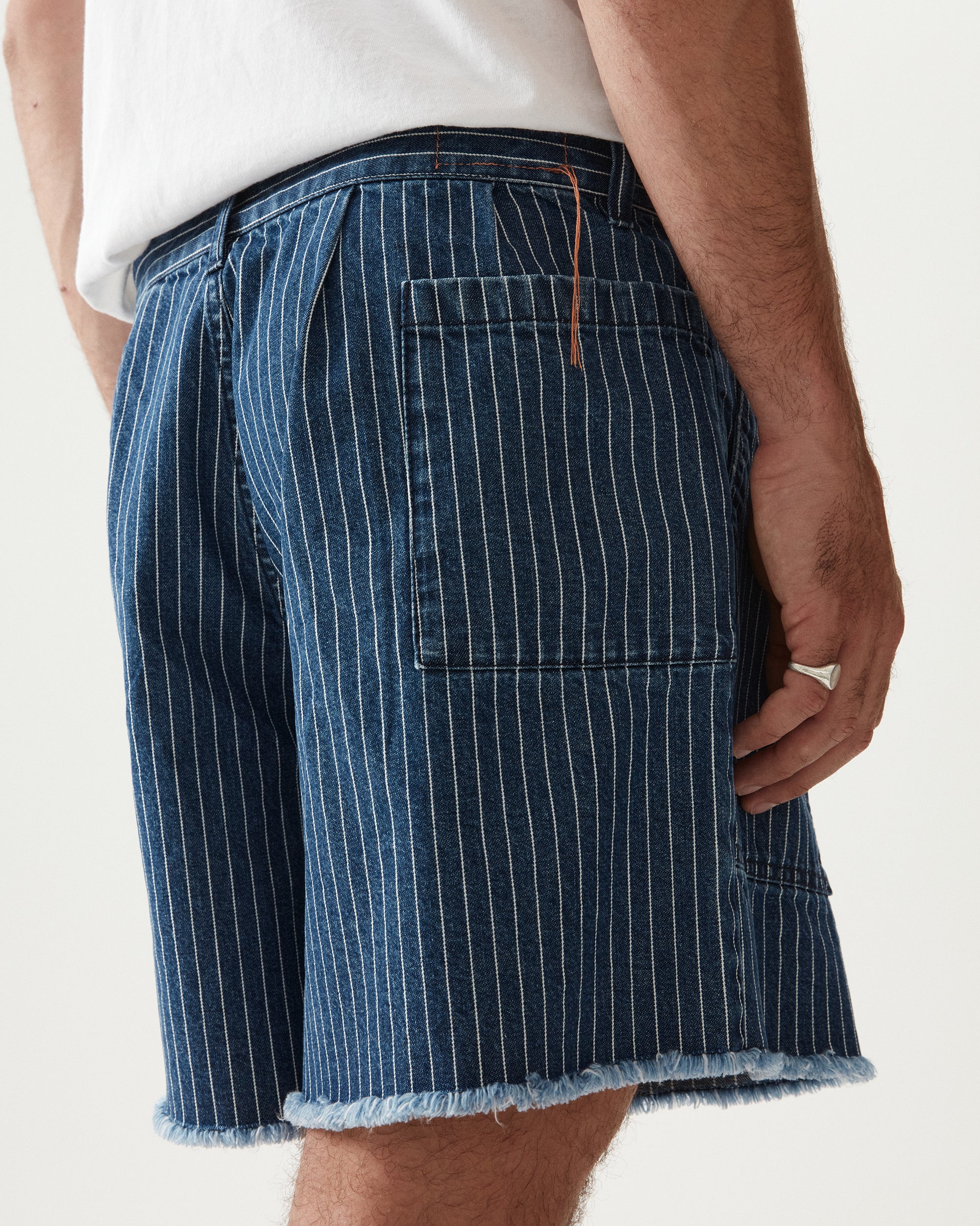 Colonel Shorts In Denim Gessato