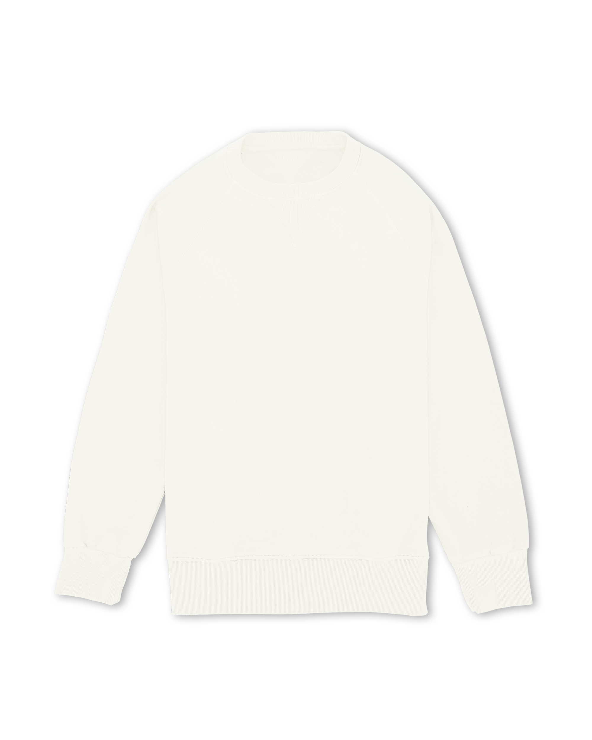 Harvard Brushed Jersey Raglan Sleeves Sweatshirt