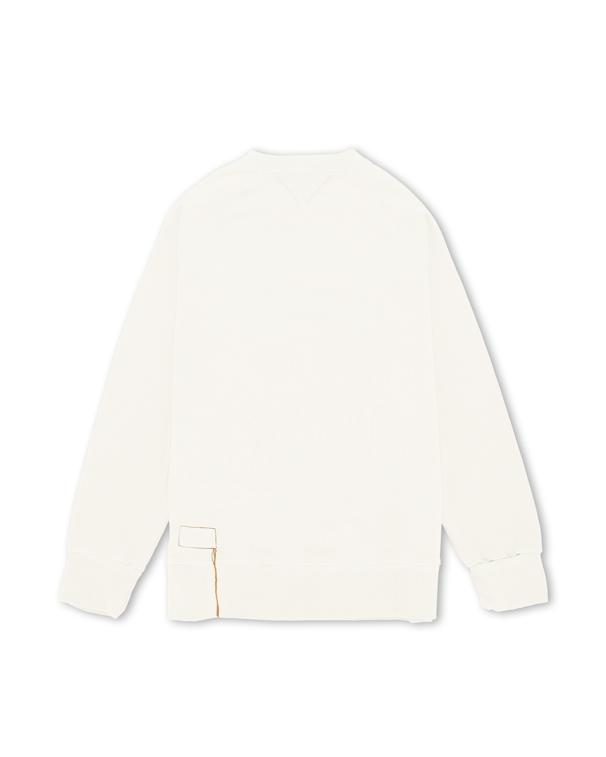 Harvard Brushed Jersey Raglan Sleeves Sweatshirt