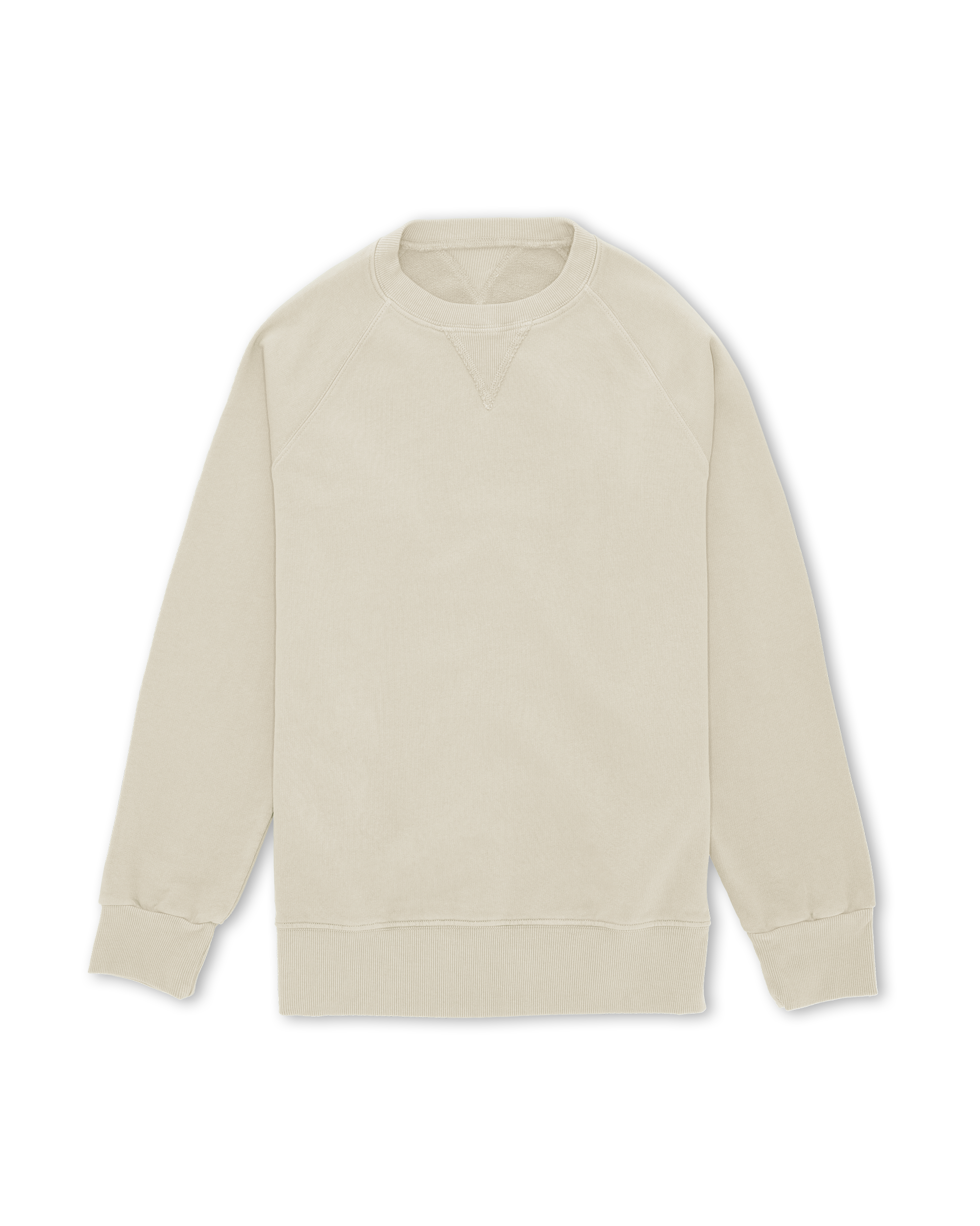 Harvard Brushed Jersey Raglan Sleeves Sweatshirt