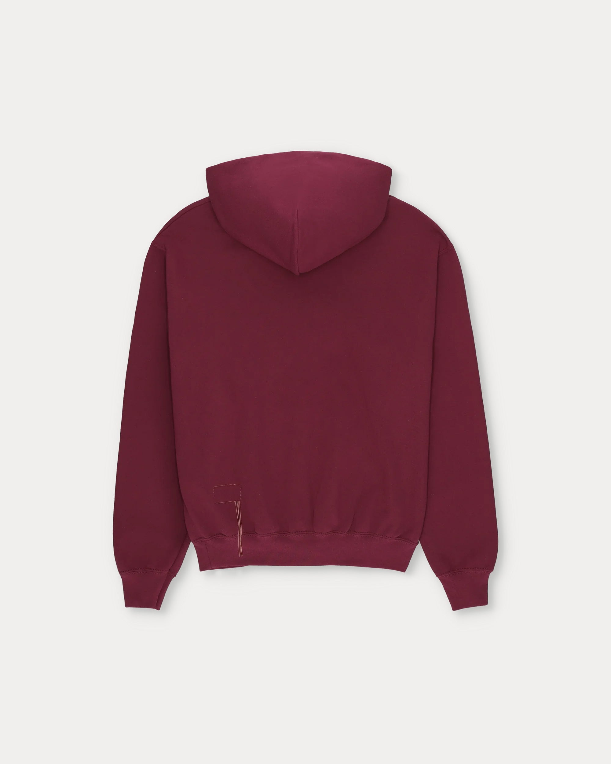 Hoodie Felpa Con Cappuccio In Cotone