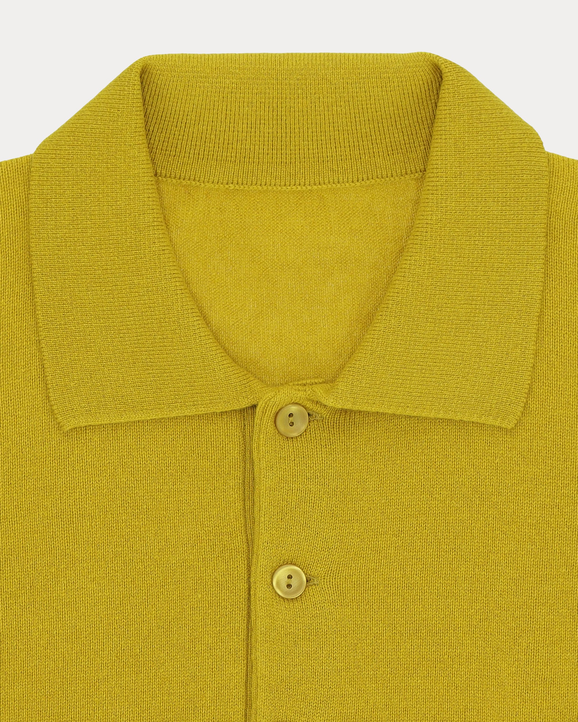 Kenneth Polo In Cashmere