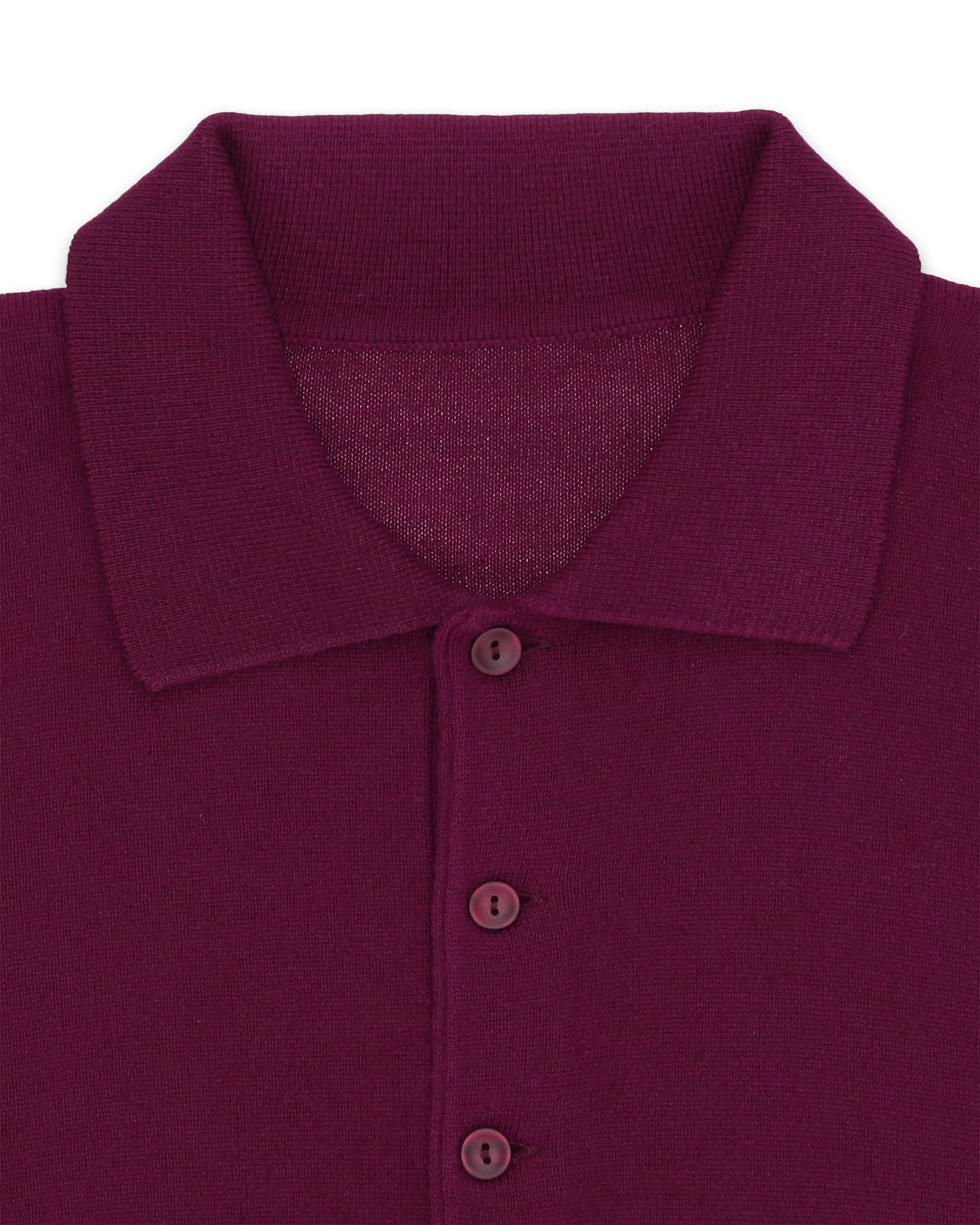 Kenneth Polo In Cashmere