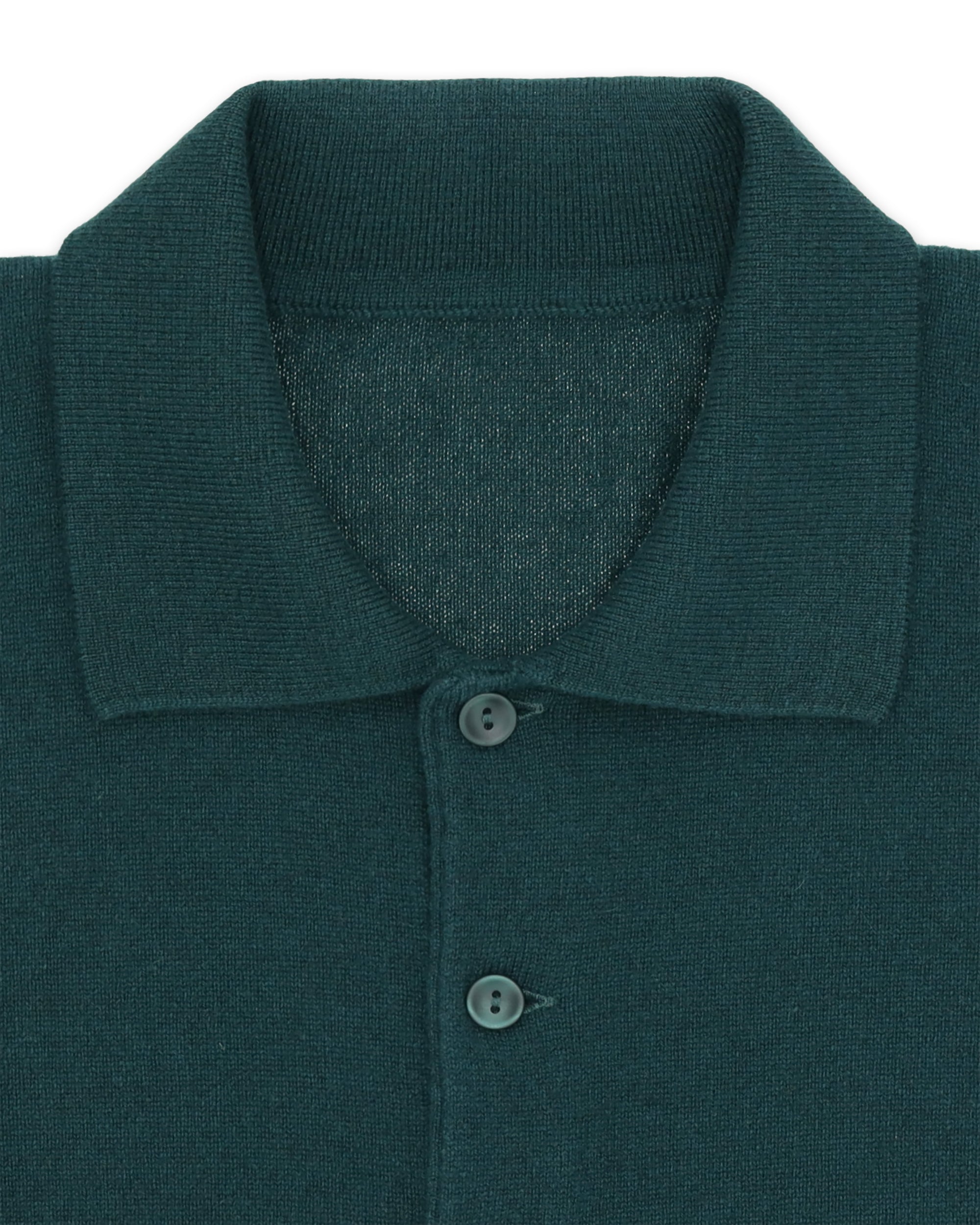 Kenneth Polo In Cashmere