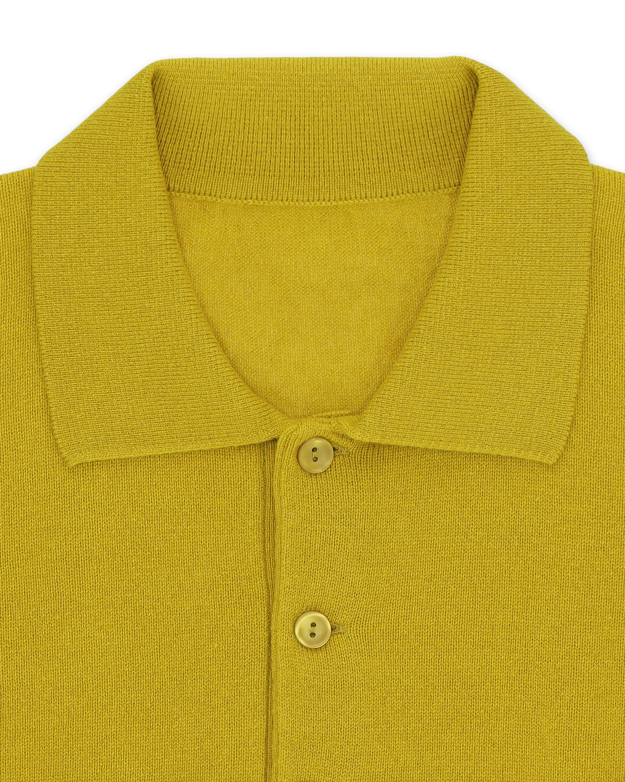 Kenneth Polo In Cashmere