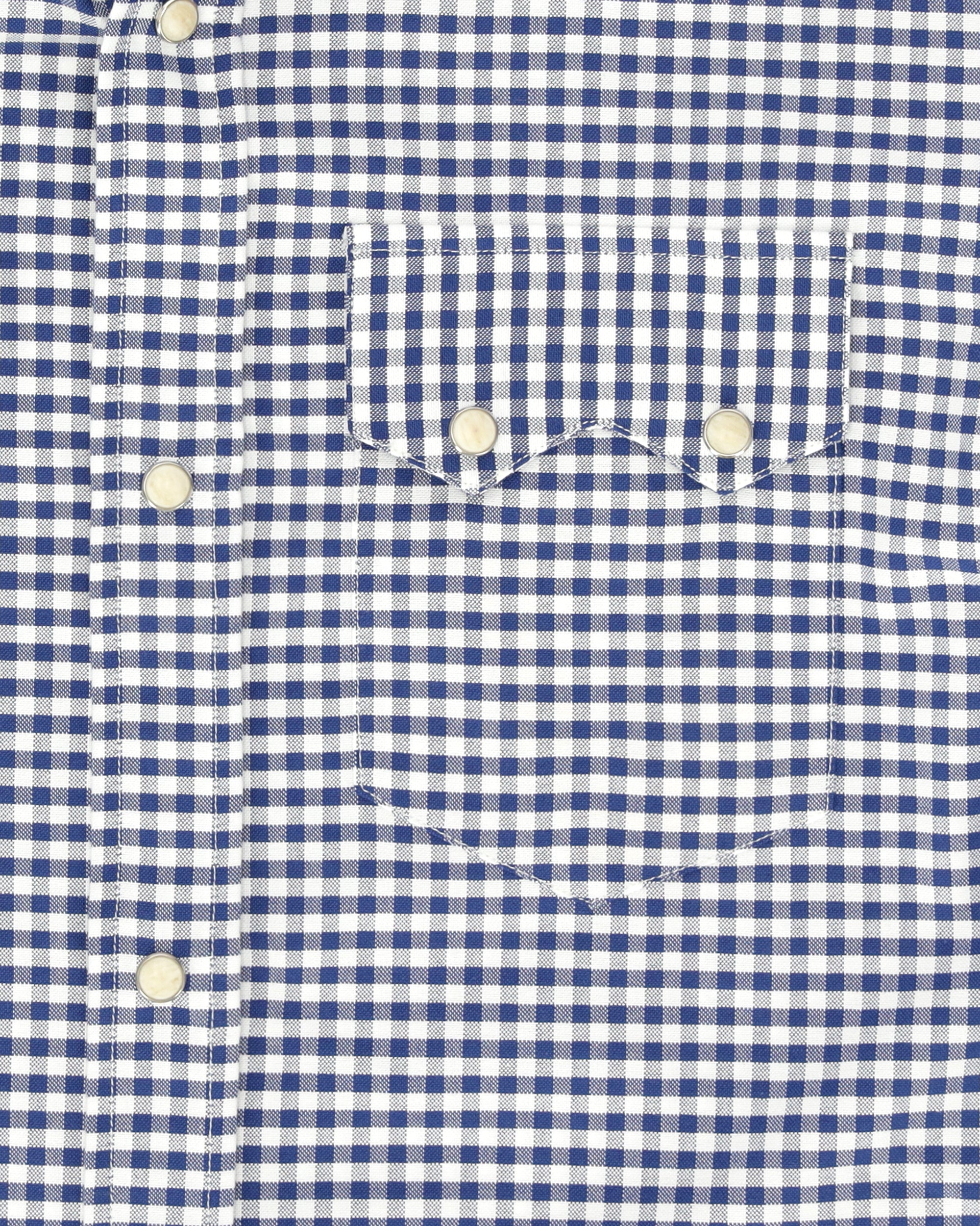 Smith Gingham Western Shirt