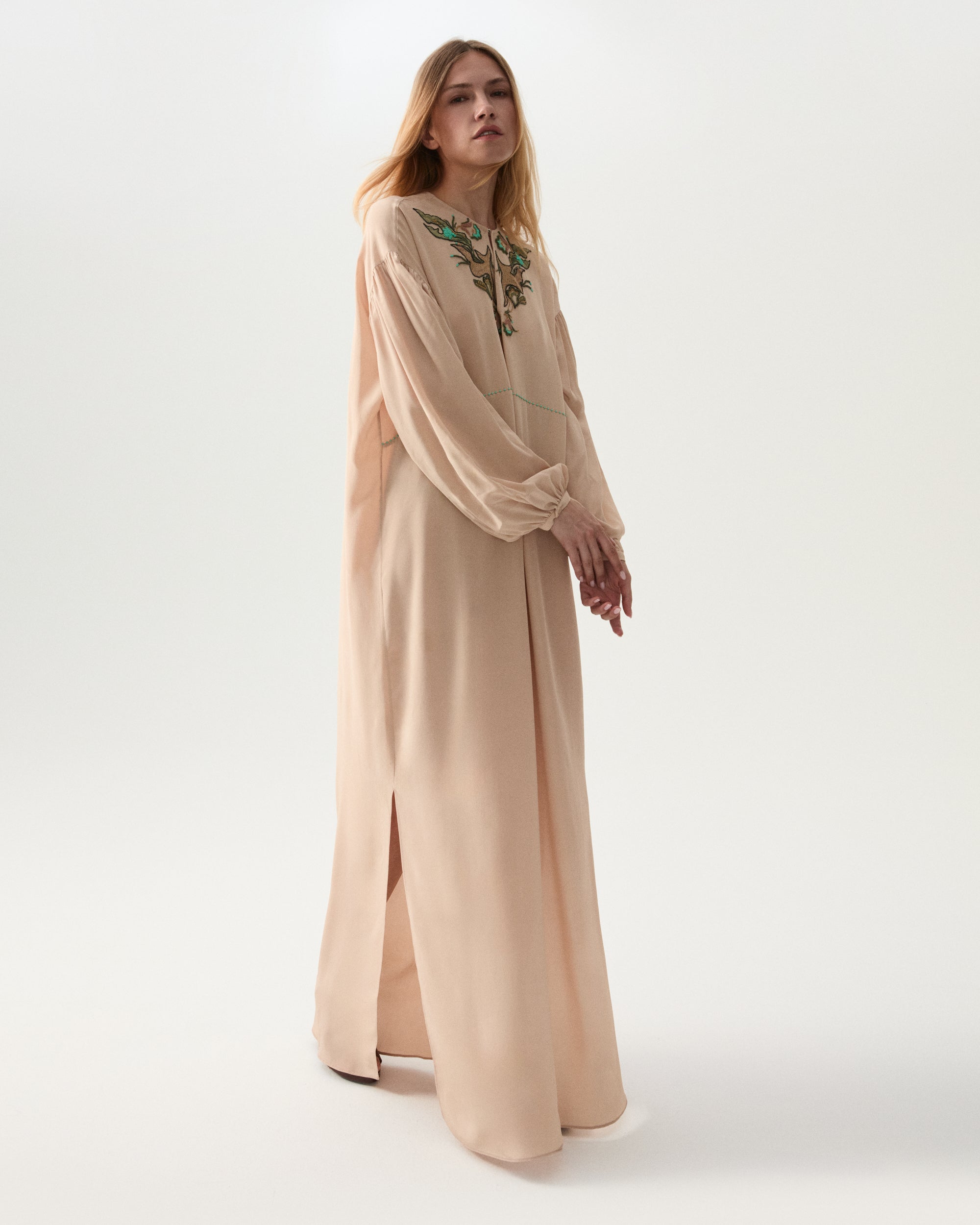 Allegral Embroidered Silk Dress