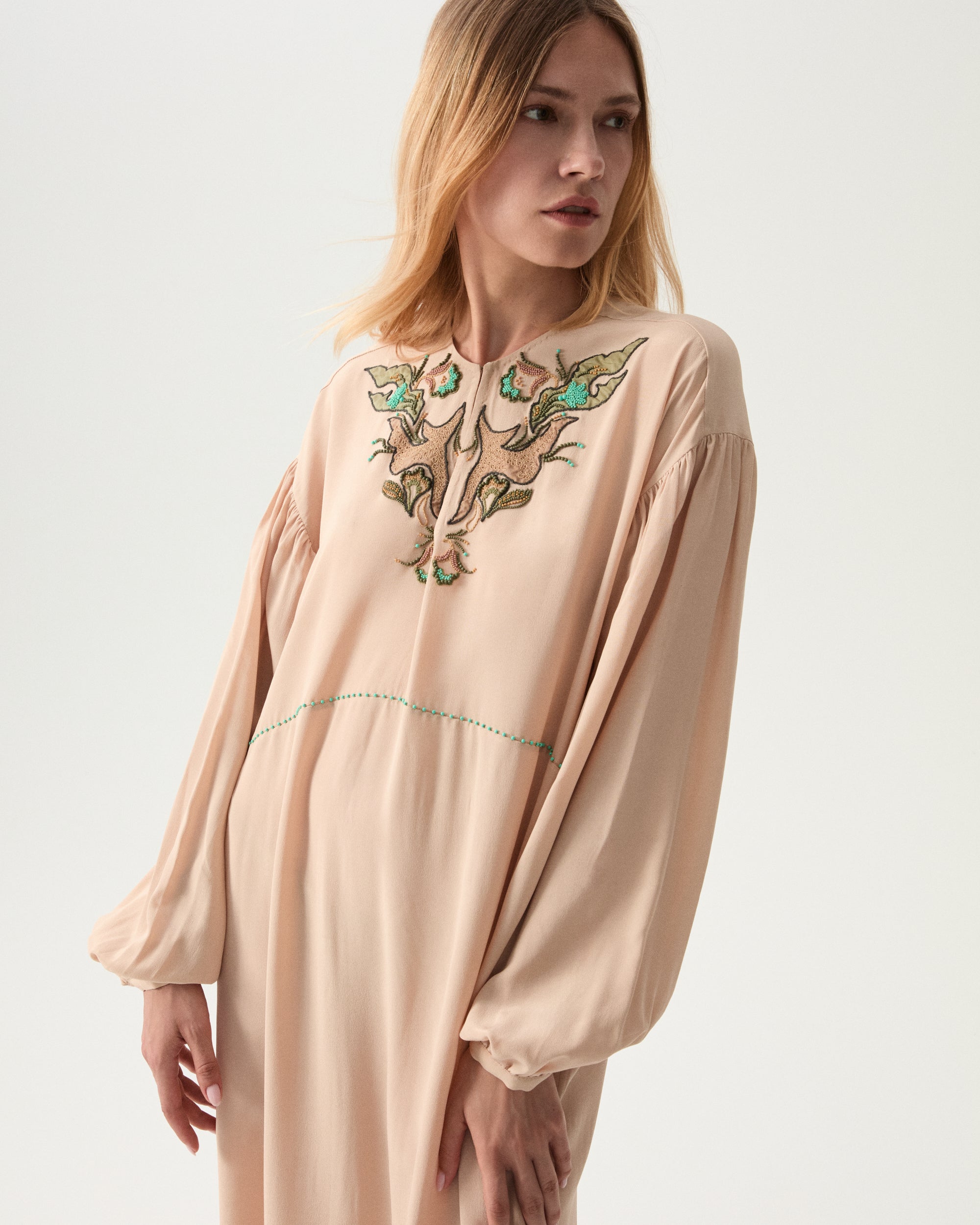 Allegral Embroidered Silk Dress