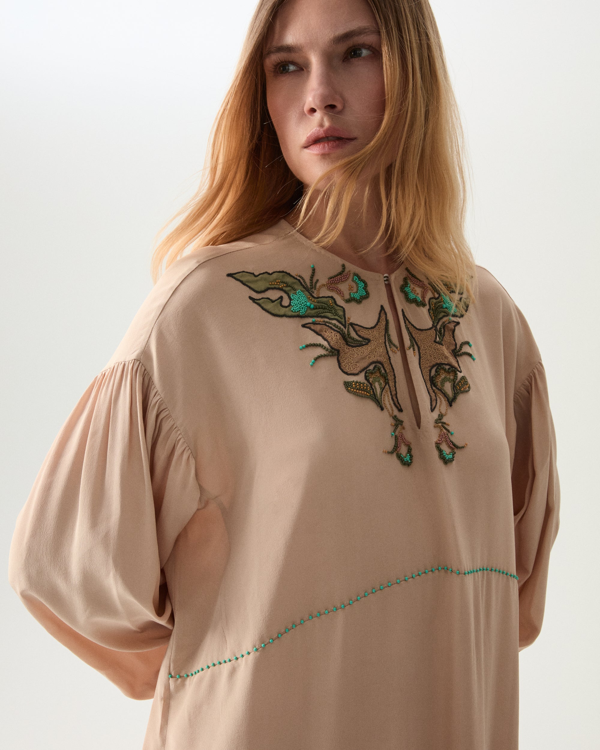 Allegral Embroidered Silk Dress