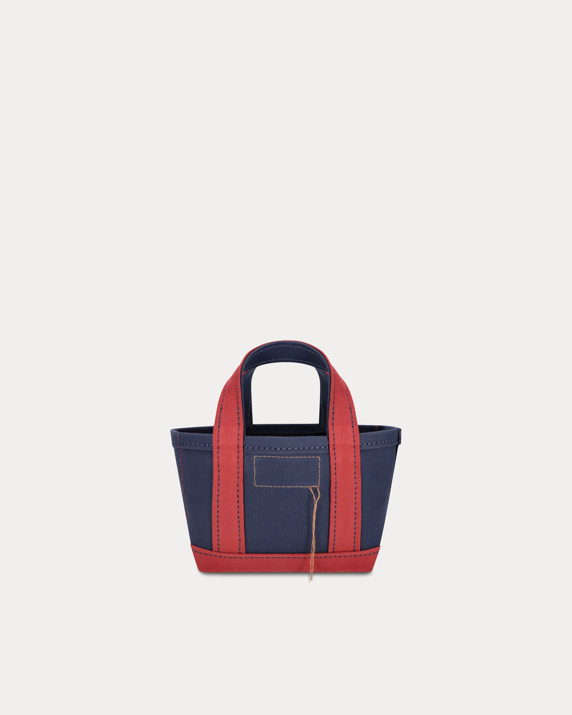 Aly Borsa Mini In Canvas
