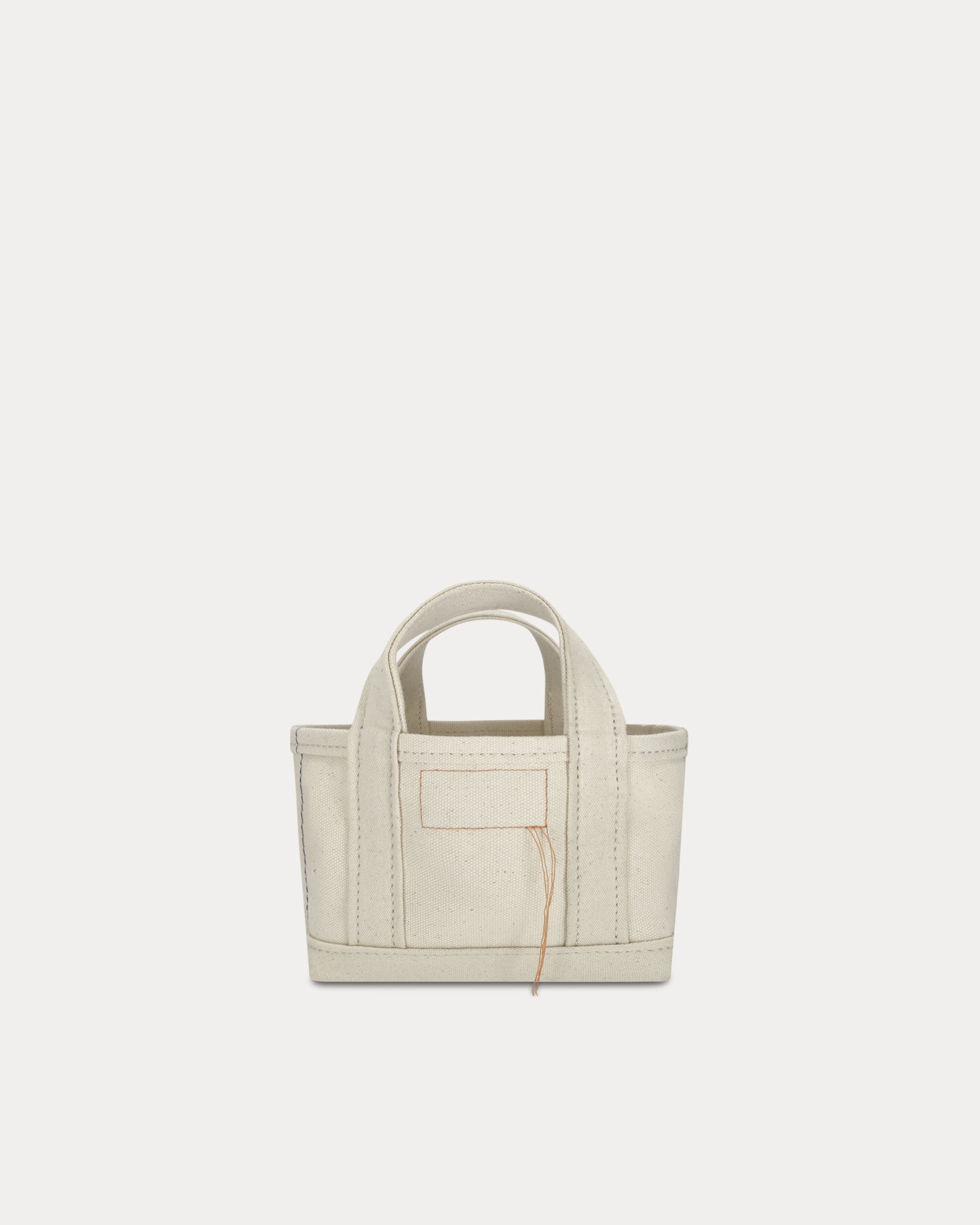 Aly Borsa Mini In Canvas