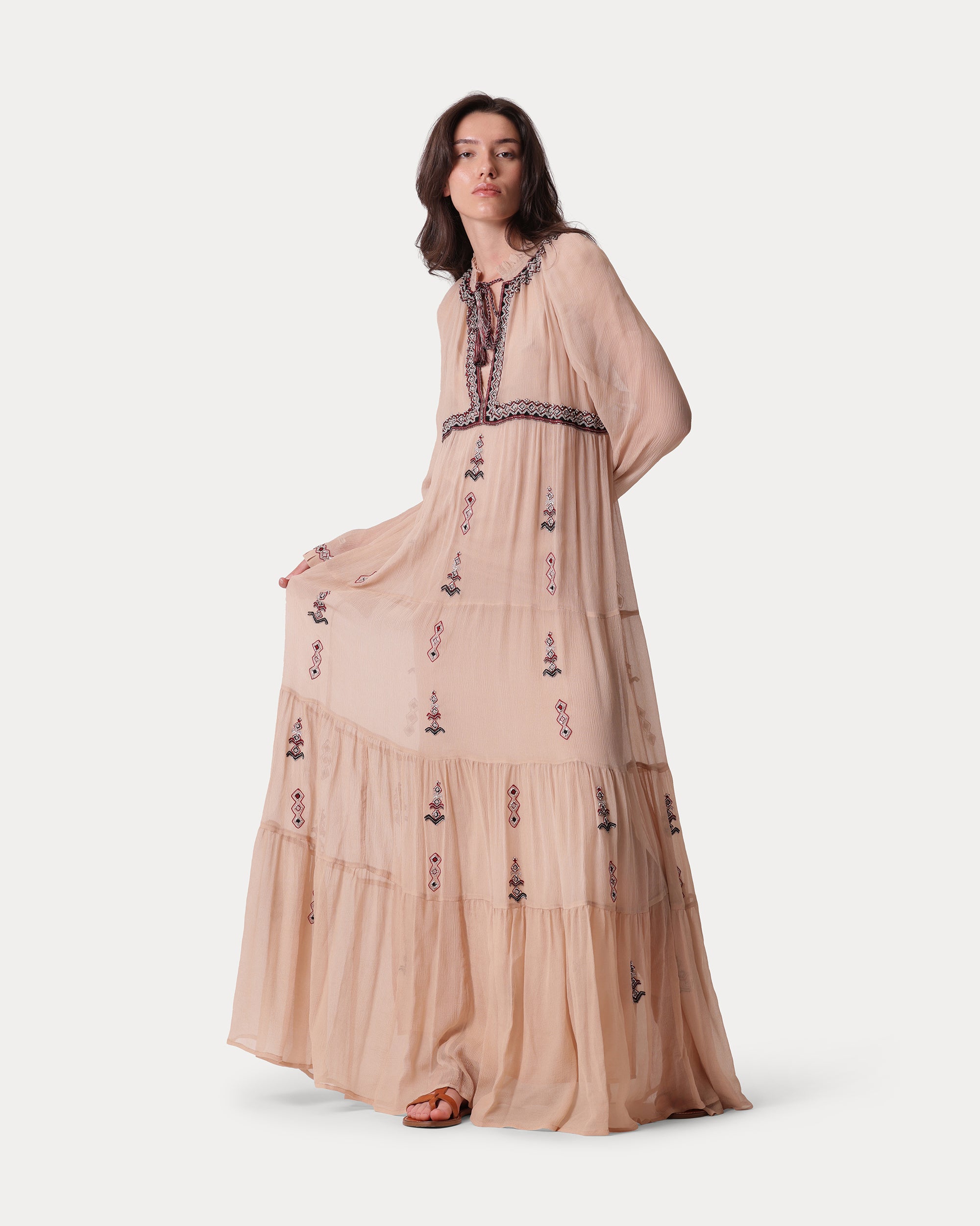 Arsia Embroidered Silk Chiffon Dress