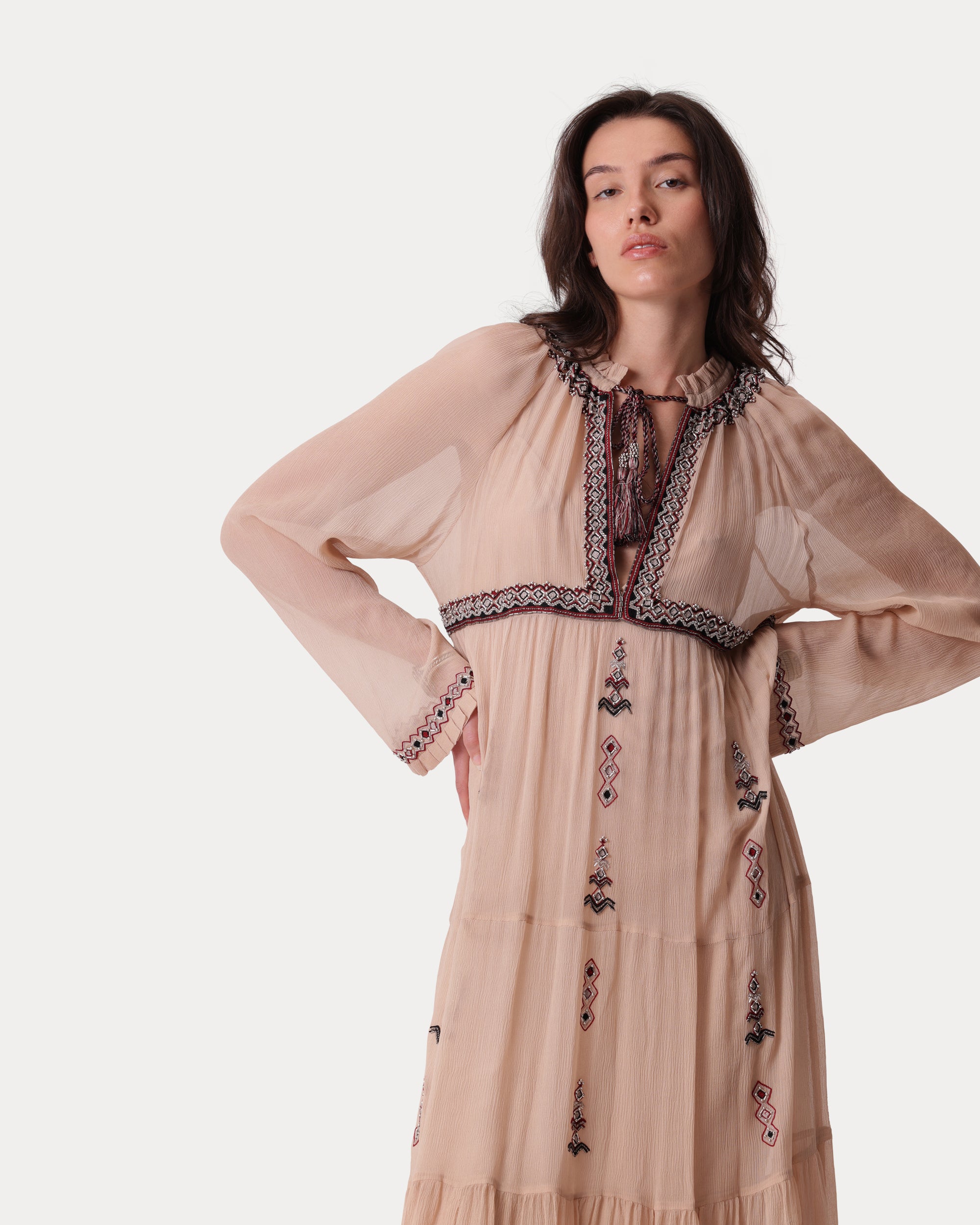 Arsia Embroidered Silk Chiffon Dress
