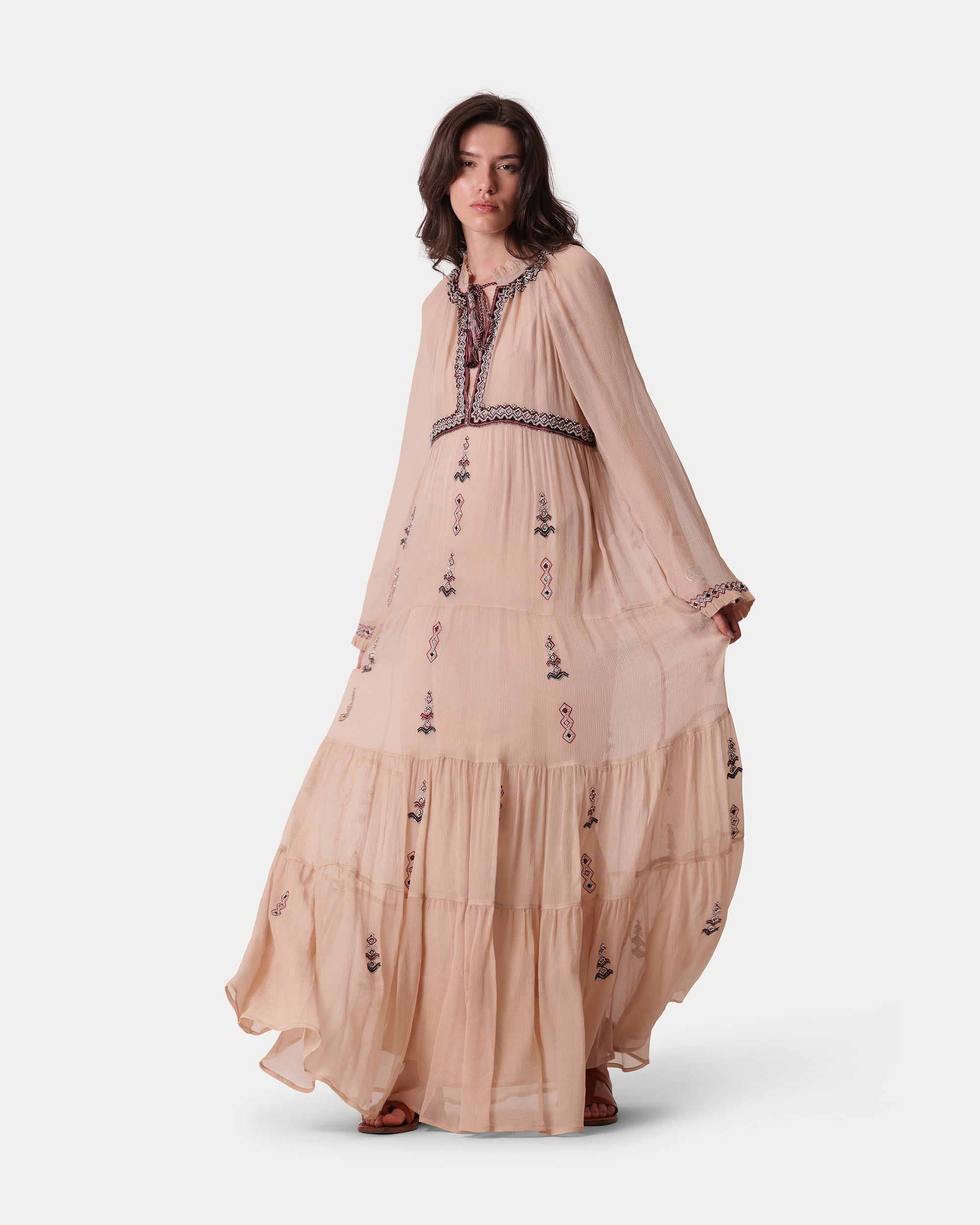 Arsia Embroidered Silk Chiffon Dress