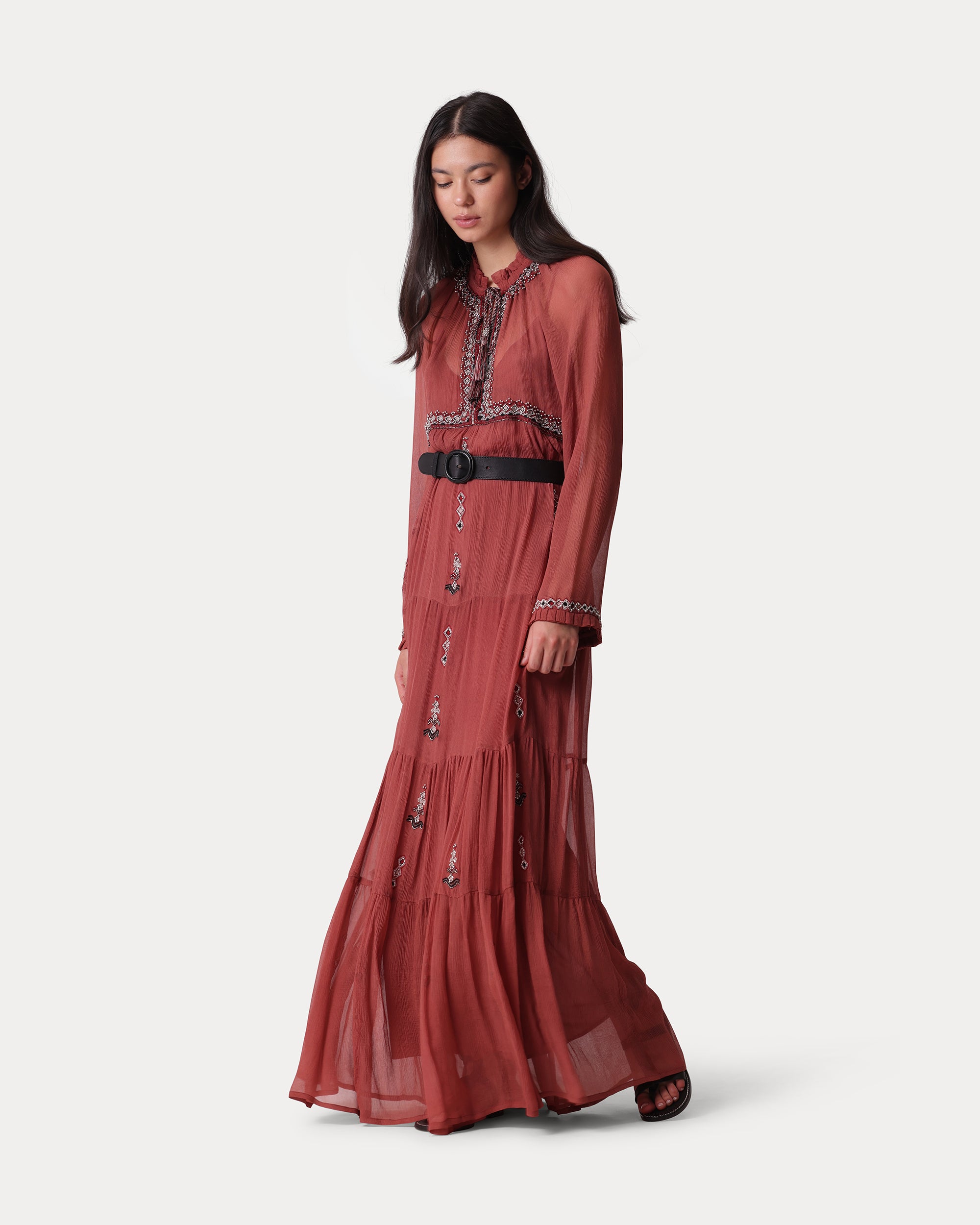 Arsia Embroidered Silk Chiffon Dress