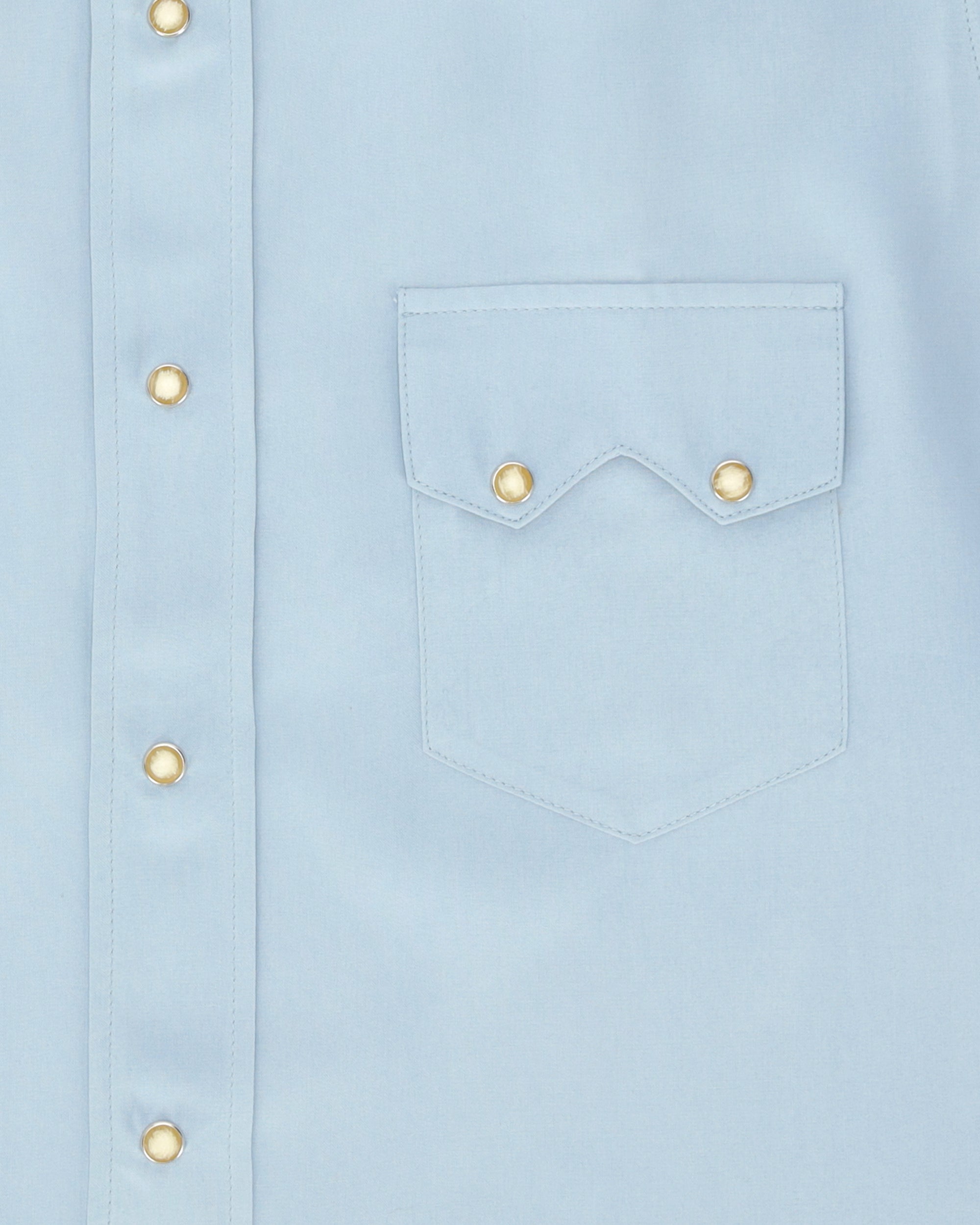 Toledo Silk Western Shirt