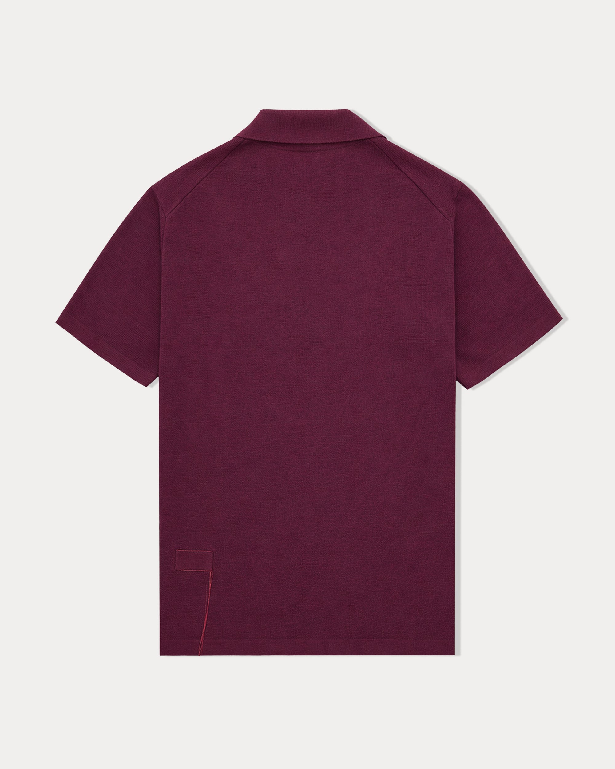 Adrien Cotton Knit V-Neck Polo