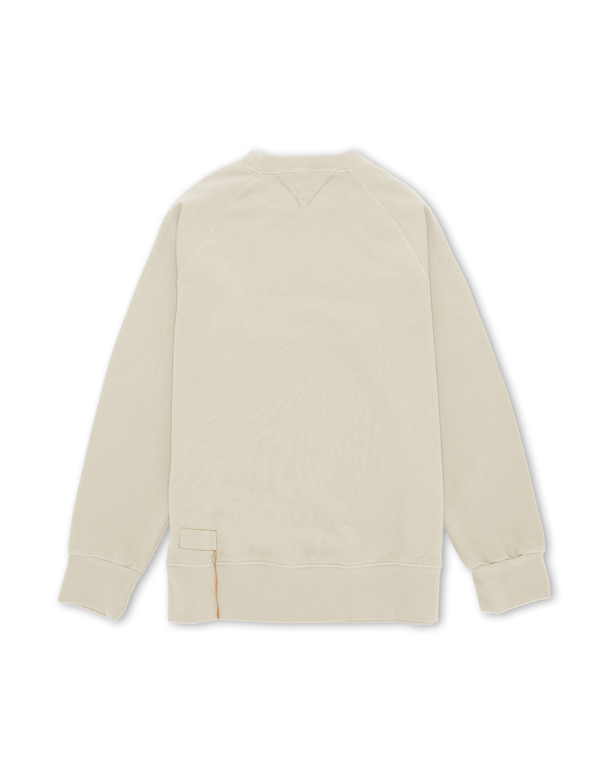 Harvard Brushed Jersey Raglan Sleeves Sweatshirt 