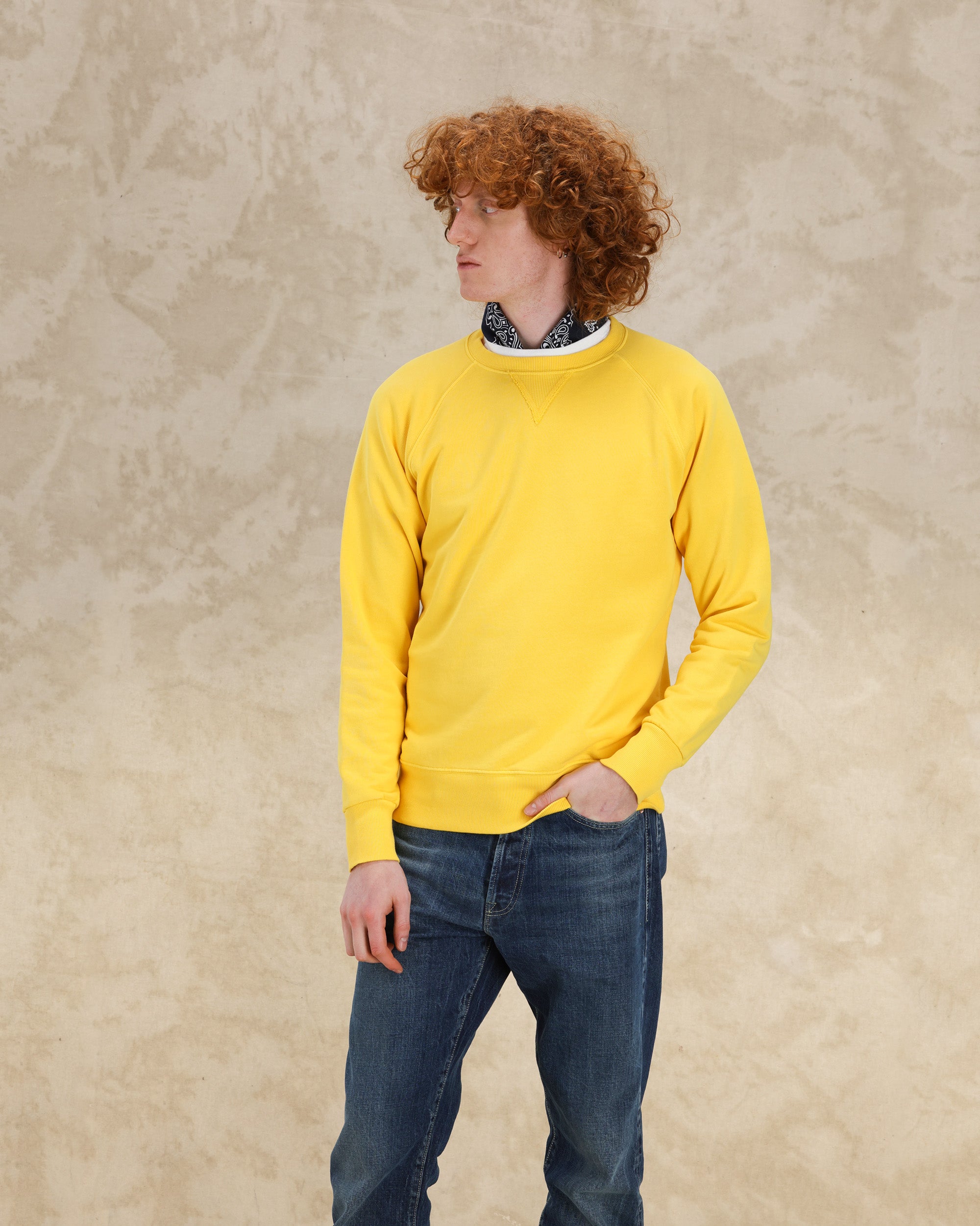 Harvard Felpa Girocollo in Jersey Garzato con taglio Raglan