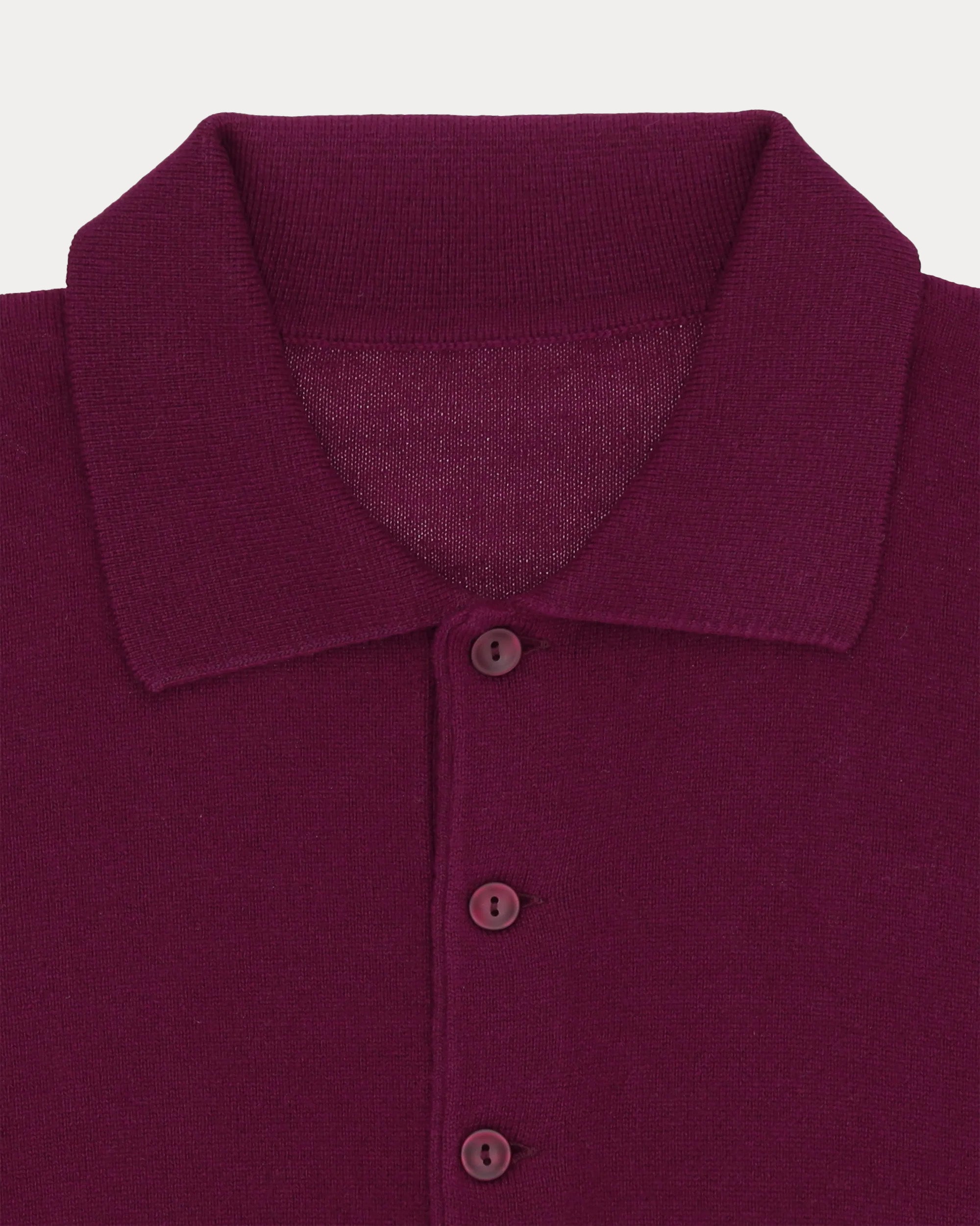 Kenneth Polo In Cashmere