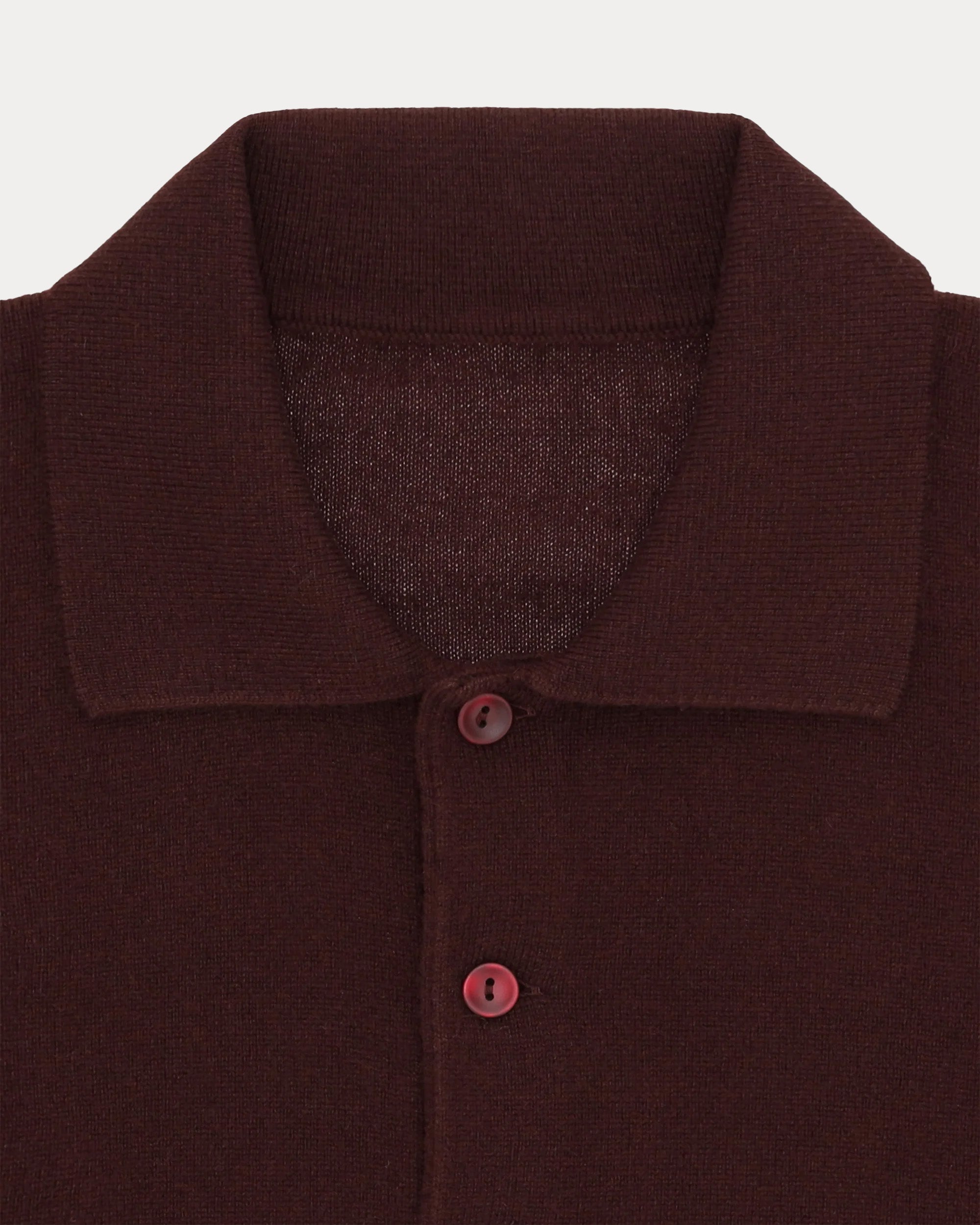 Kenneth Polo In Cashmere