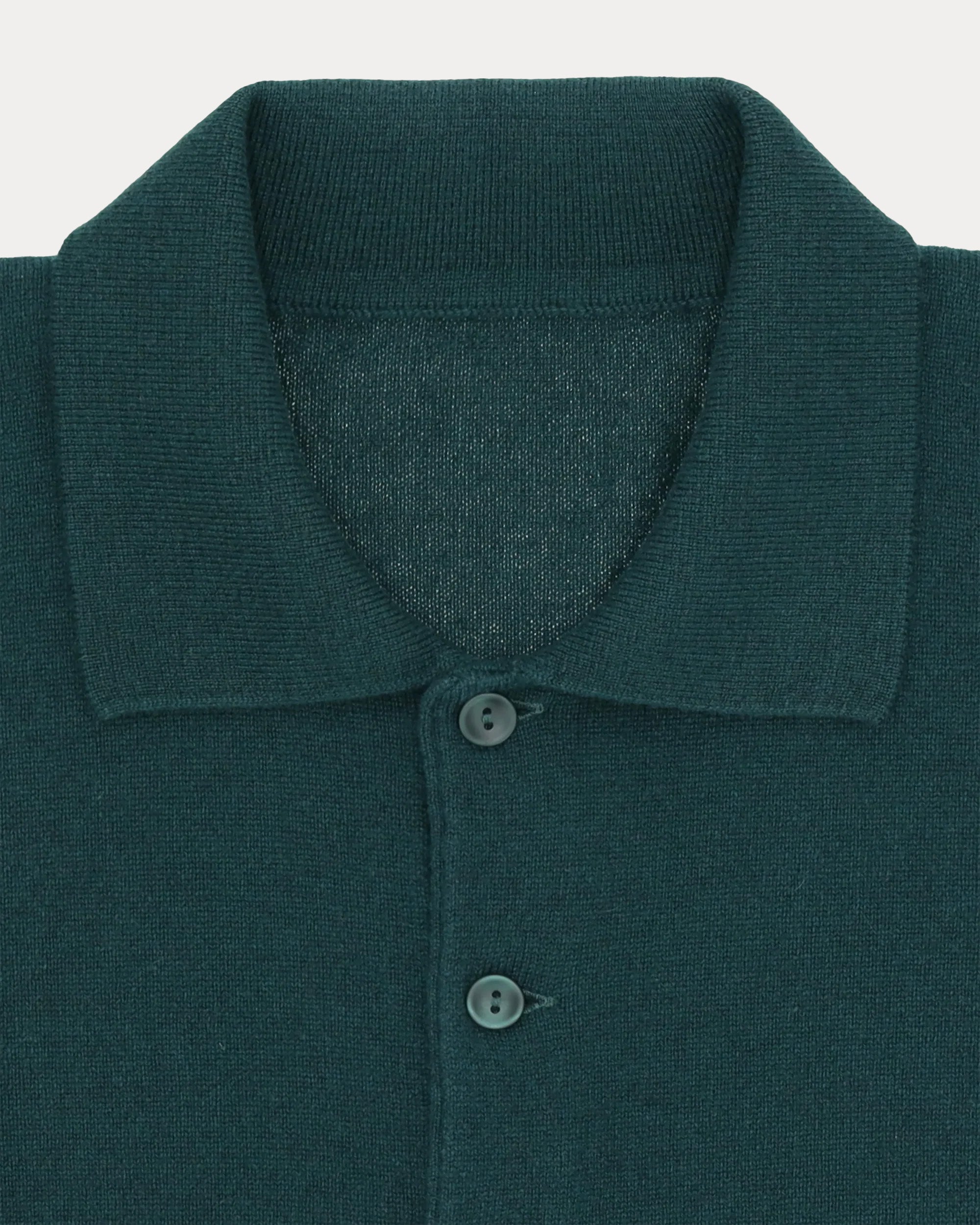 Kenneth Polo In Cashmere