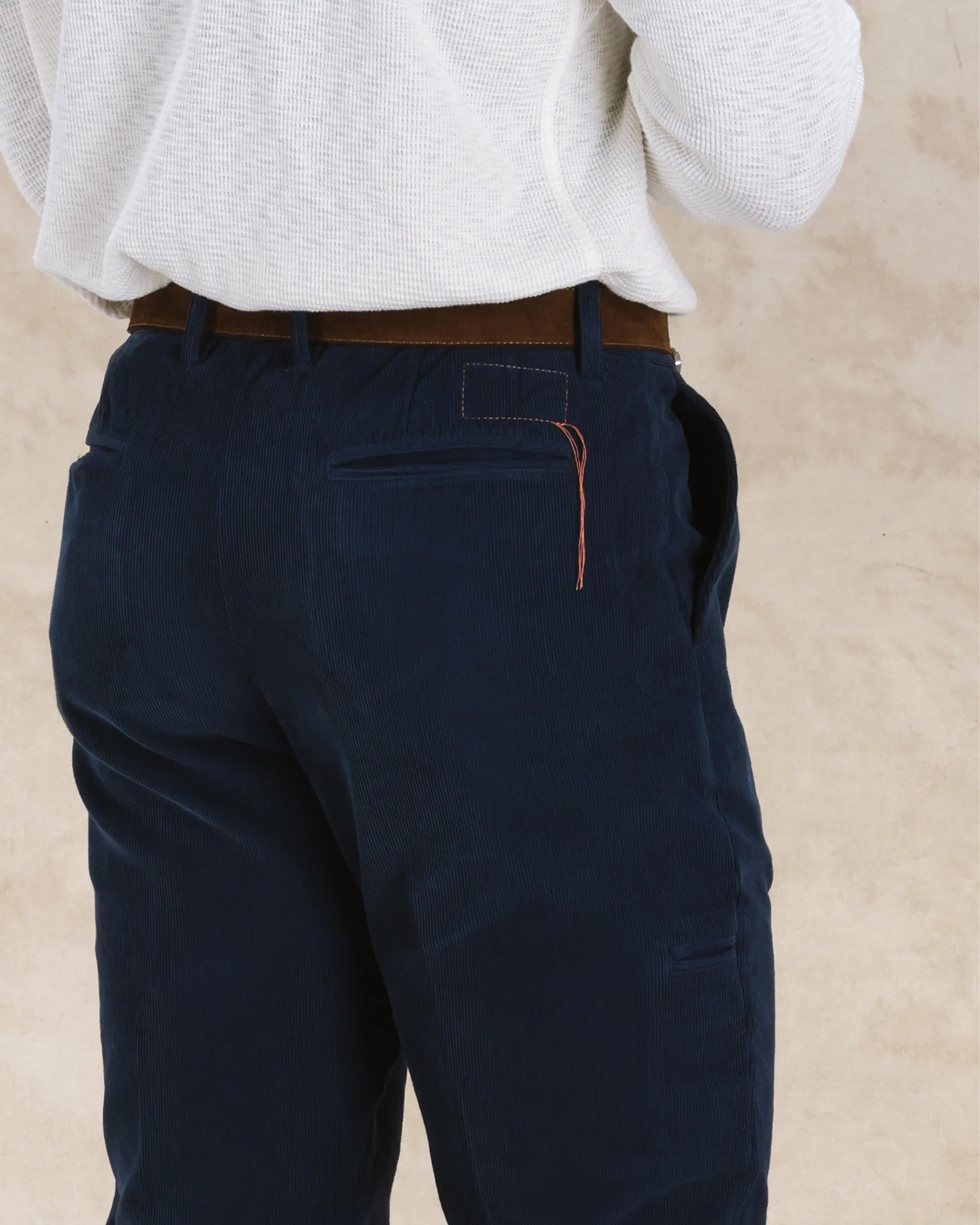 Pences Pleated Velvet Pants