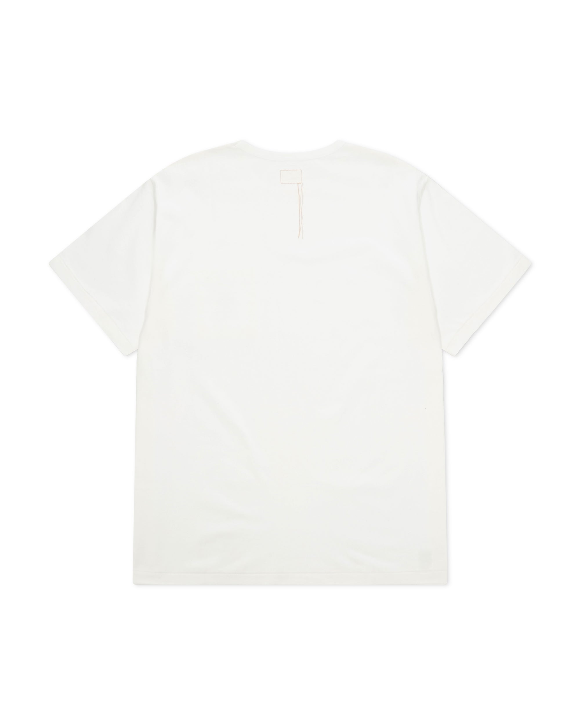 Standard Printed T-Shirt