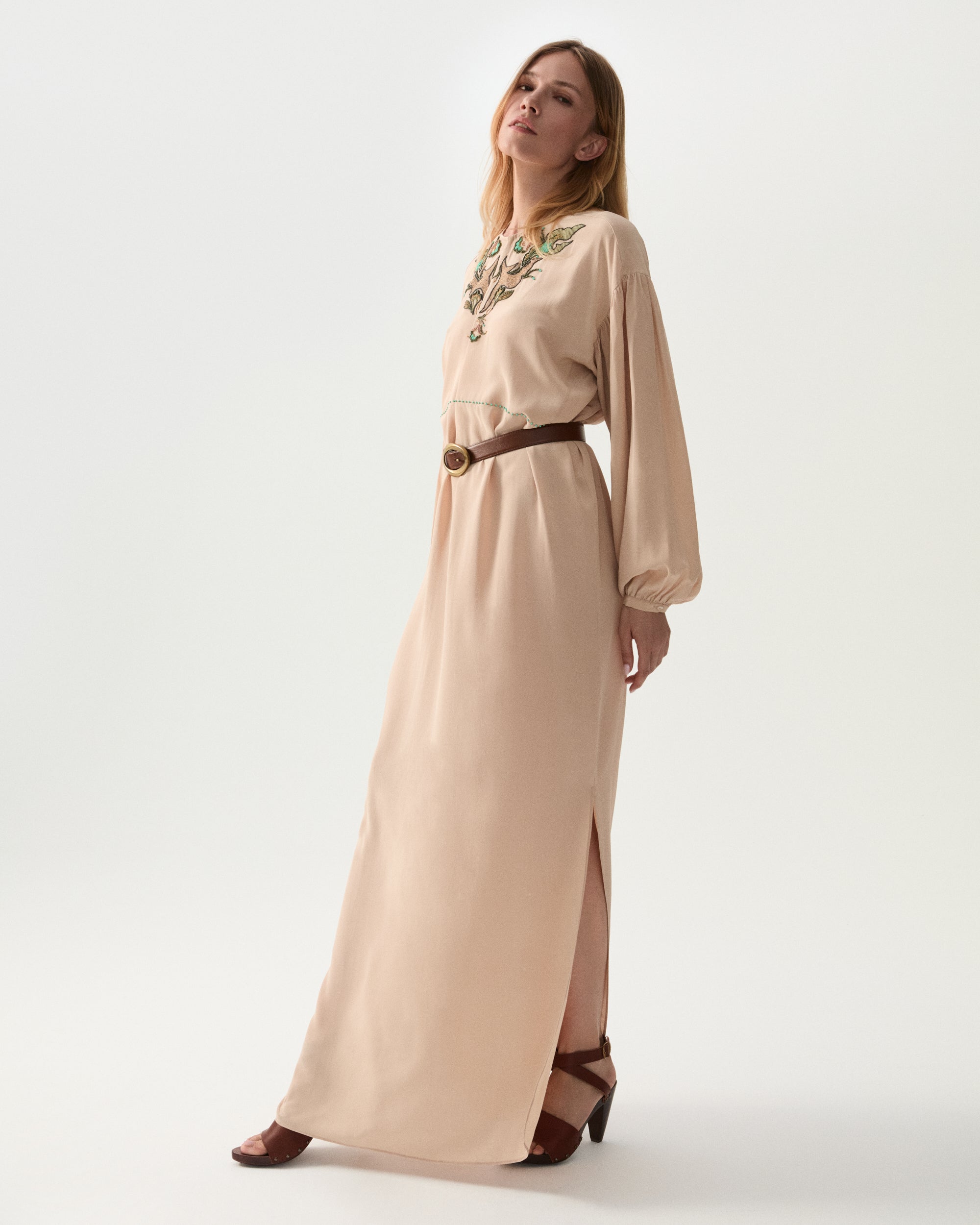 Allegral Embroidered Silk Dress
