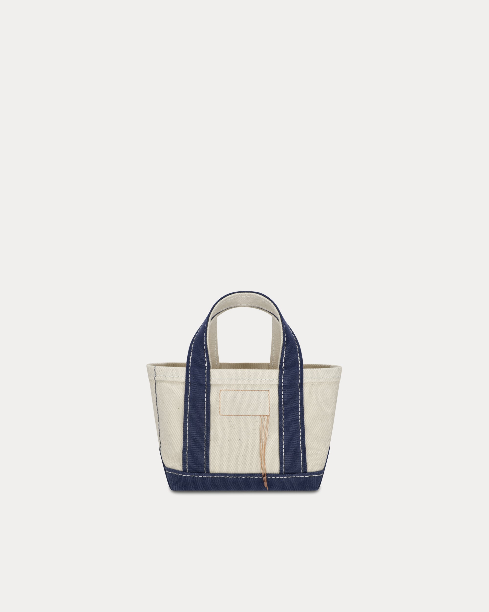 Aly Borsa Mini In Canvas