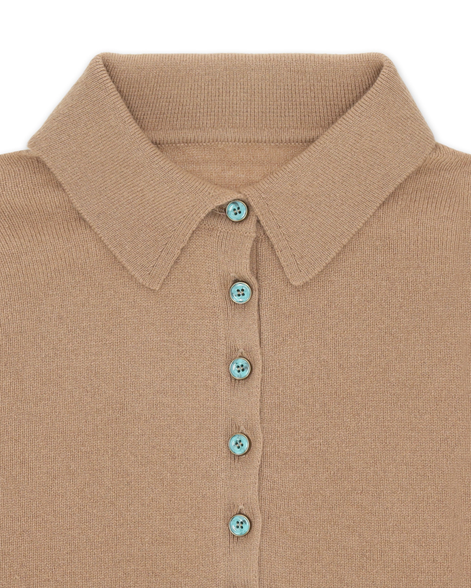 Amelia Polo in Cashmere