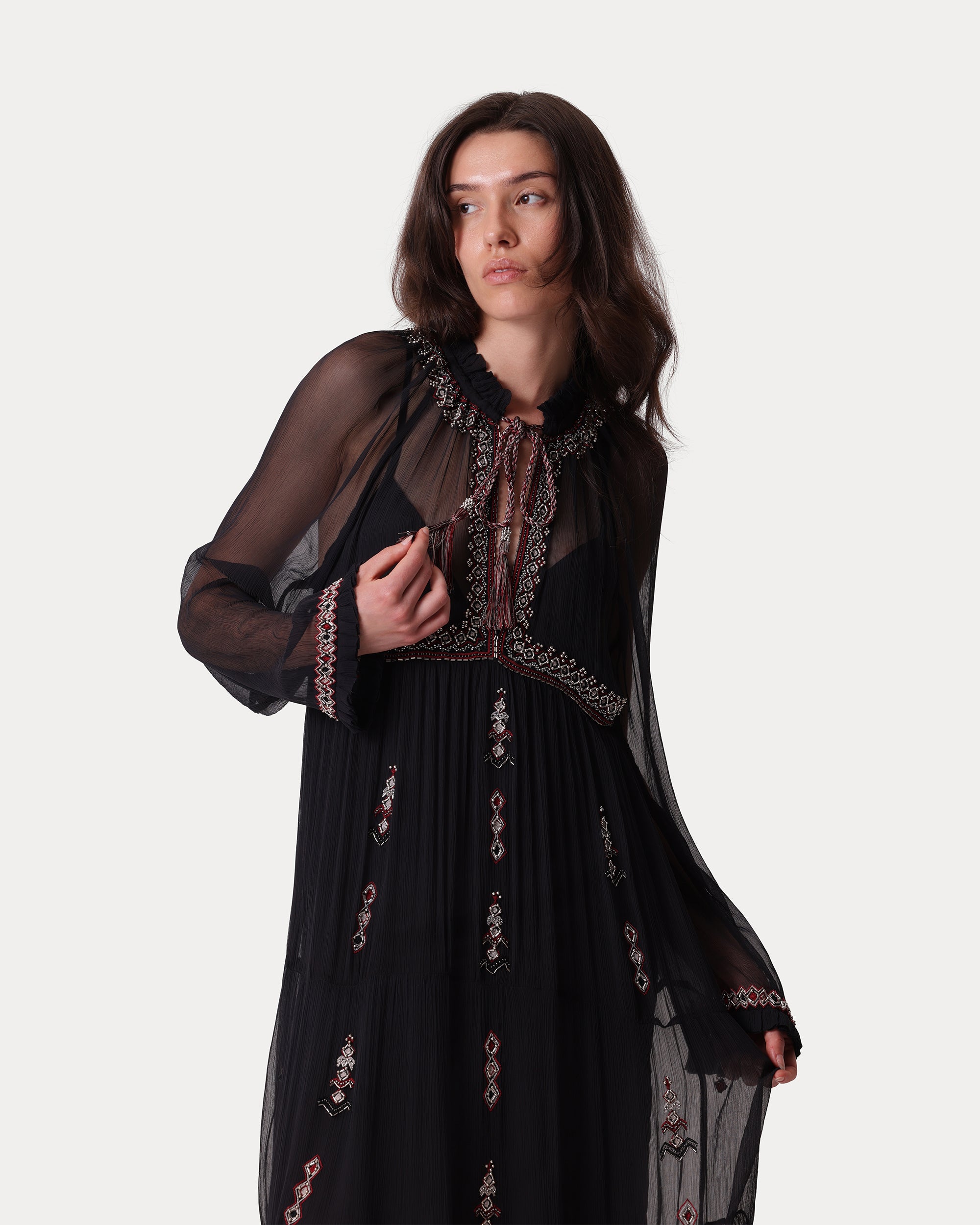 Arsia Embroidered Silk Chiffon Dress