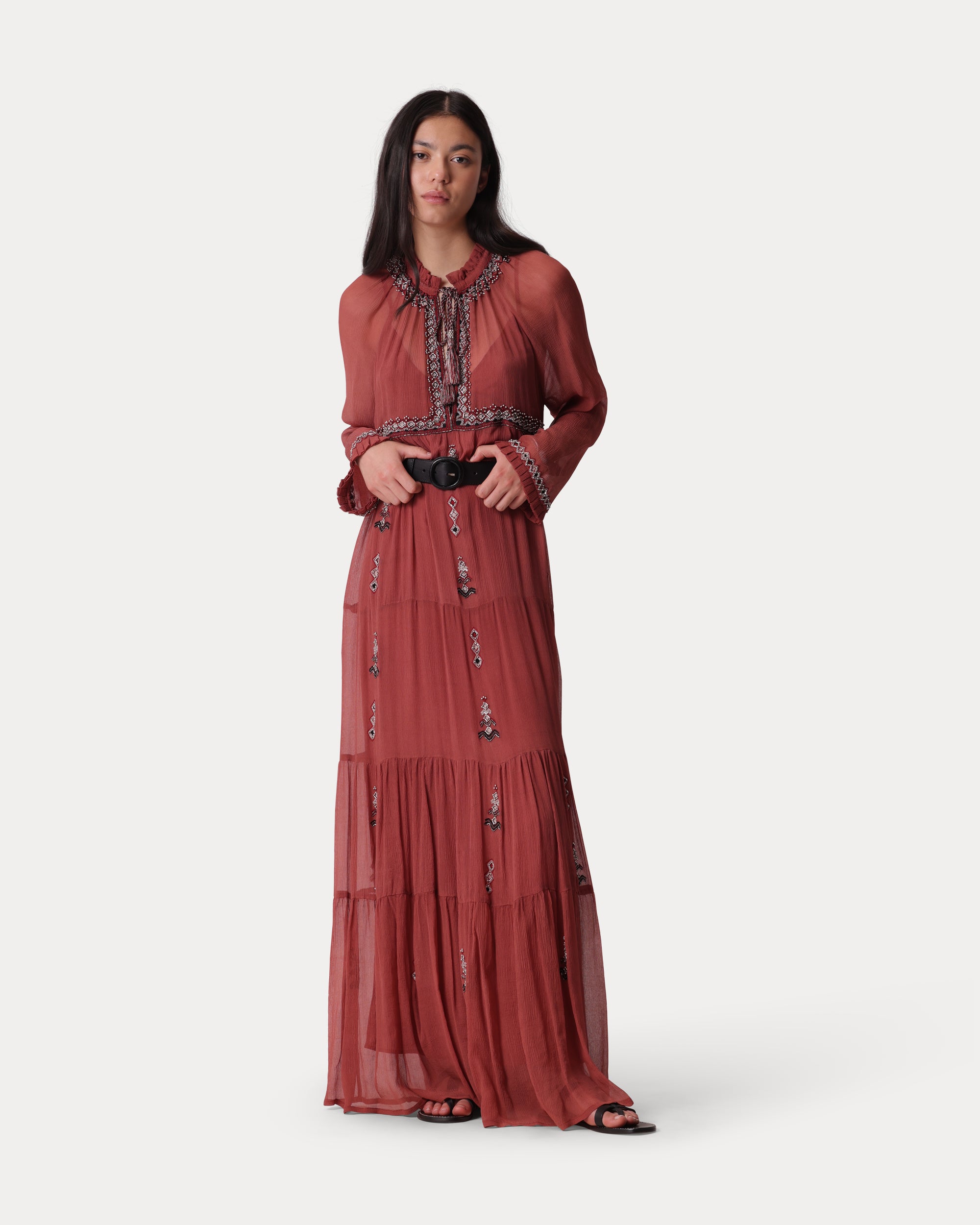 Arsia Embroidered Silk Chiffon Dress