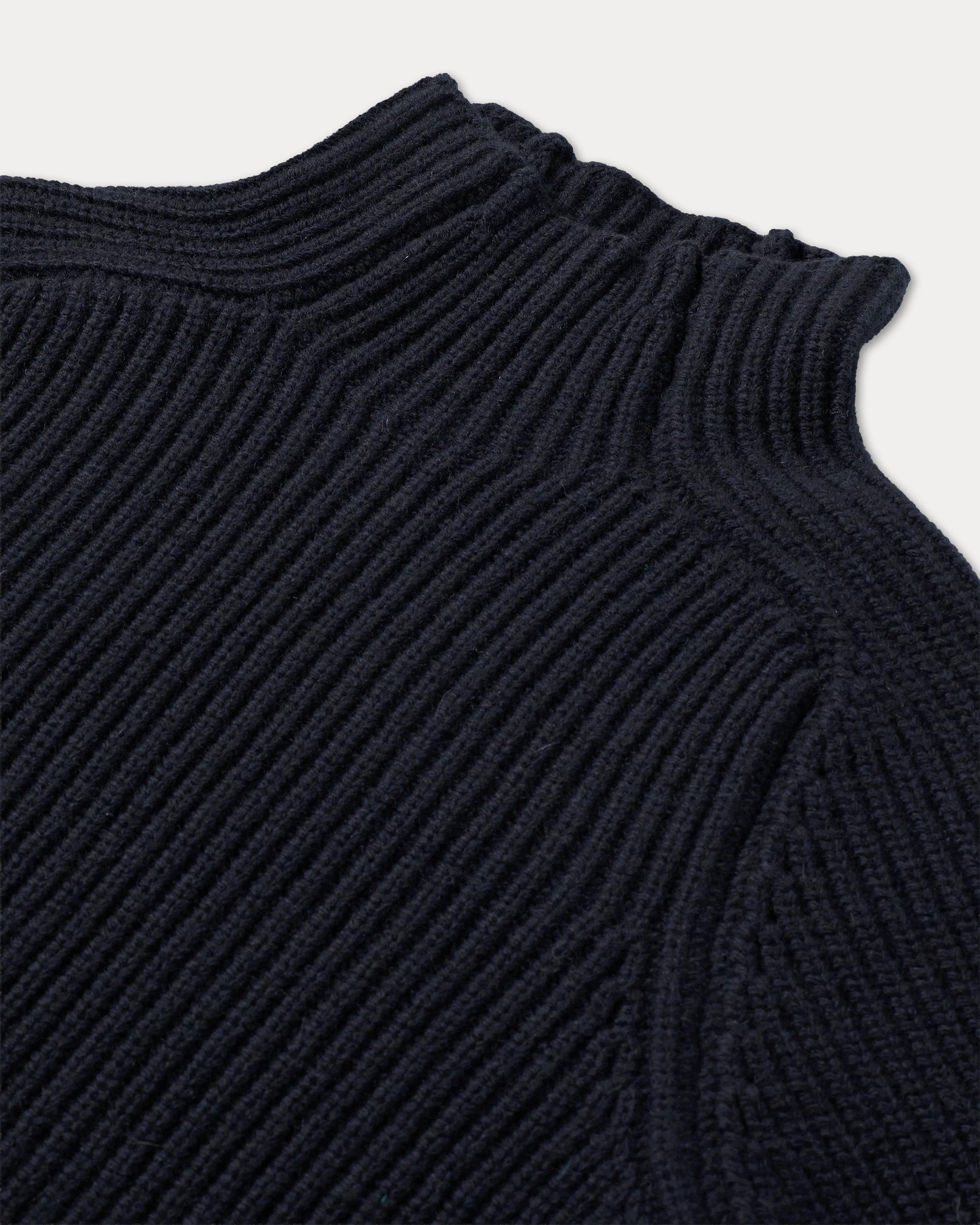 Leona Wool and Cashmere Turtleneck Sweater